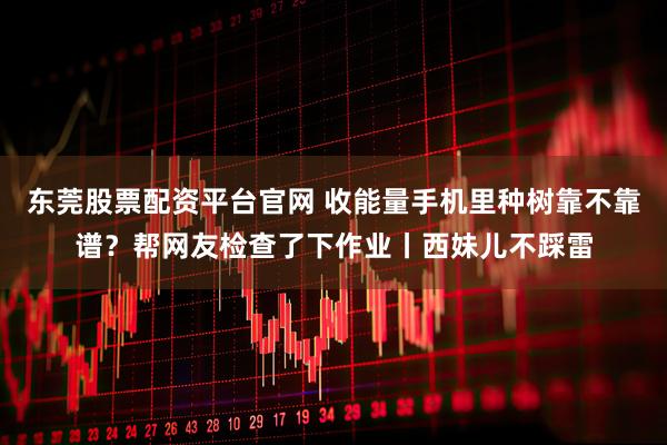 东莞股票配资平台官网 收能量手机里种树靠不靠谱？帮网友检查了下作业丨西妹儿不踩雷